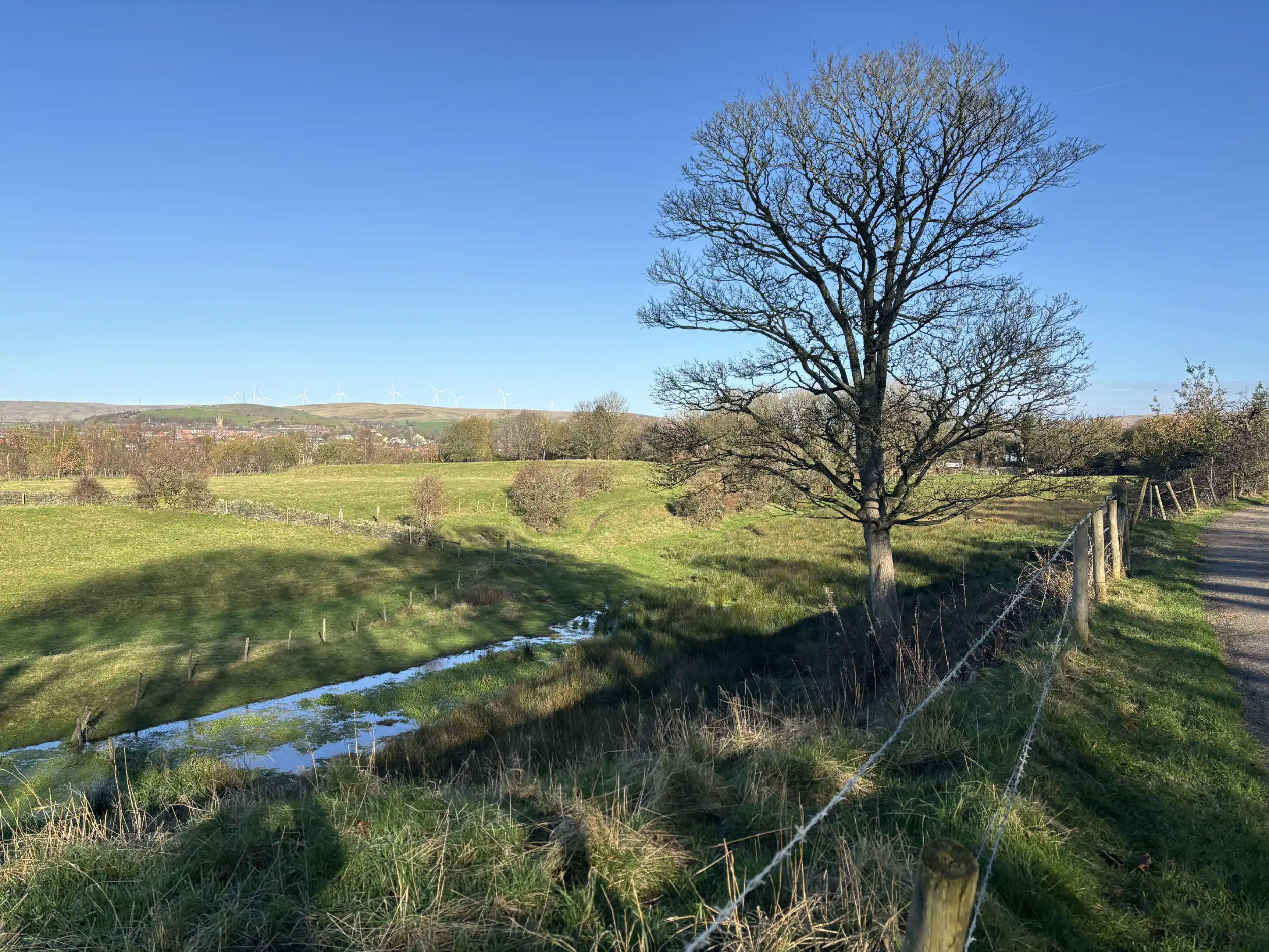 photographer-4 Rochdale Canal looking towards Wardle Autumn 2025